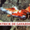 PERDE LA VITA PATRICK DE GAYARDON ... il sogno di Icaro - (13/04/1998)
