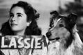 LASSIE - Serie TV - (1954/1973)