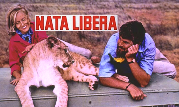 NATA LIBERA – (film 1966 e fine anni 70 la serie)
