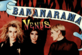 NA NA HEY HEY / ROBERT DeNIRO'S WAITING / VENUS - Bananarama - (1983/1984/1986)