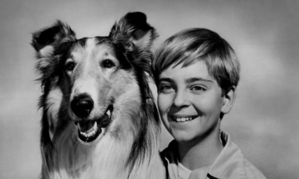 TOMMY RETTING – ( Jeff Miller prima serie Lassie 1954/1957 )