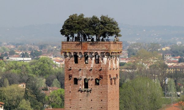 Misteri e Curiosità d’Italia: TORRE GUINIGI con alberi – (Lucca)