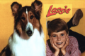 LASSIE - Serie TV - (1954/1973)