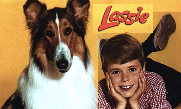 LASSIE – Serie TV – (1954/1973)