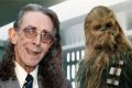 Tributo per CHEWBECCA di Guerre Stellari (Peter Mayhew)