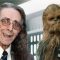 Tributo per CHEWBECCA di Guerre Stellari (Peter Mayhew)